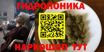 гидропоника Славянск-на-Кубани