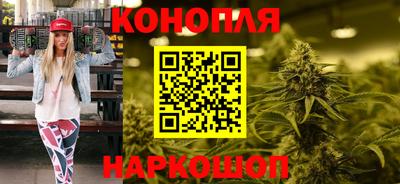 гашик Славгород