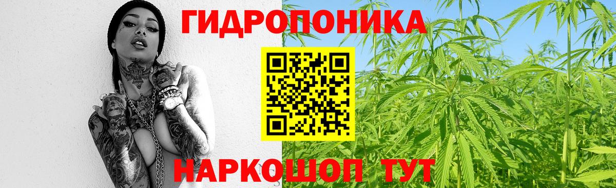 Каннабис Bruce Banner  Бошки Шишки планчик  Вход с VPN  Каннабис THC 21%  Шишки марихуана конопля  Ногинск 